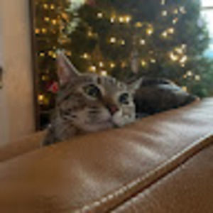 Meet your Posher, Nata